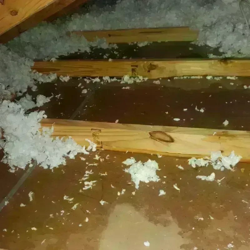 Attic Water Damage in Vista, CA