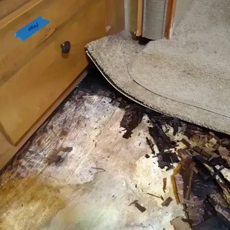 Wood Floor Water Damage in Vista, CA